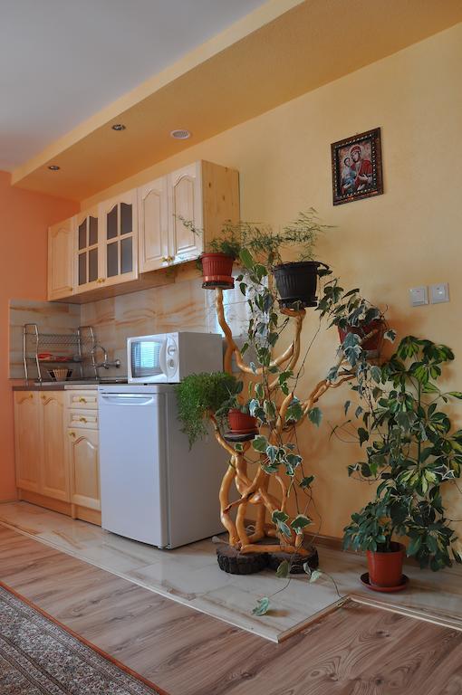 Guest House Eli Sapareva Banya Room photo